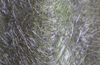 Colton fibreglass roof work